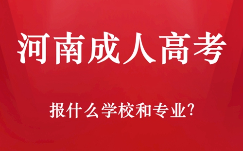 河南成人高考报什么学校和专业