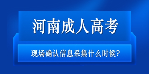 河南成人高考现场确认信息采集什么时候